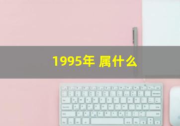 1995年 属什么